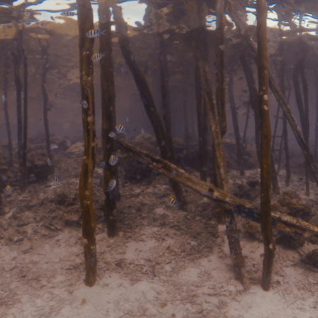 vid 20250912 155828 20251215134323 1.png