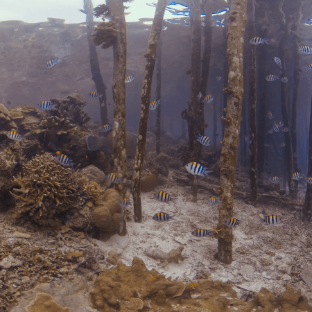 vid 20250912 160145 20251215134419 1.png