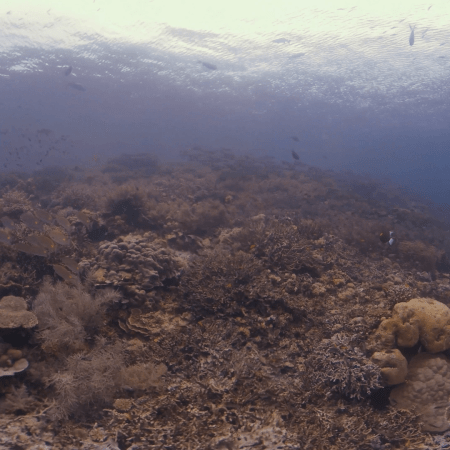 vid 20250912 162503 20251215134436 1.png