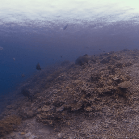 vid 20250912 163342 20251215134657 1.png