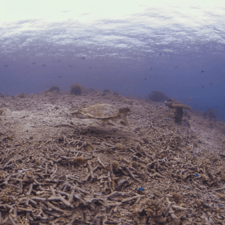 vid 20250912 163642 20251223100516 1.png