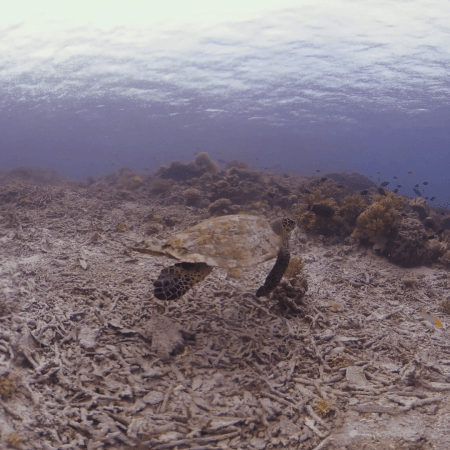 vid 20250912 163642 20251223100548 1.png